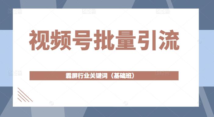 视频号批量引流，霸屏行业关键词（基础班）全面系统讲解视频号玩法-第一资源网