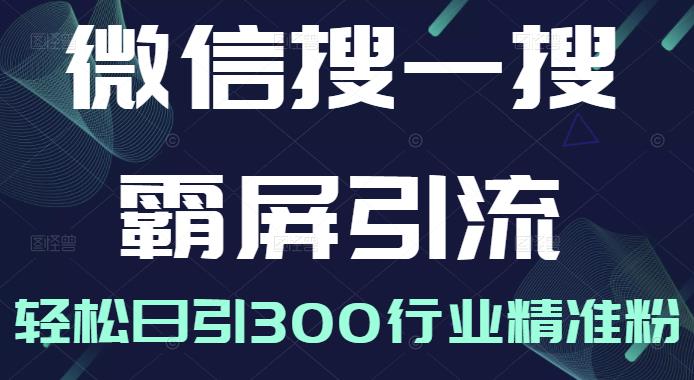 微信搜一搜霸屏引流课，打造被动精准引流系统，轻松日引300行业精准粉-第一资源网