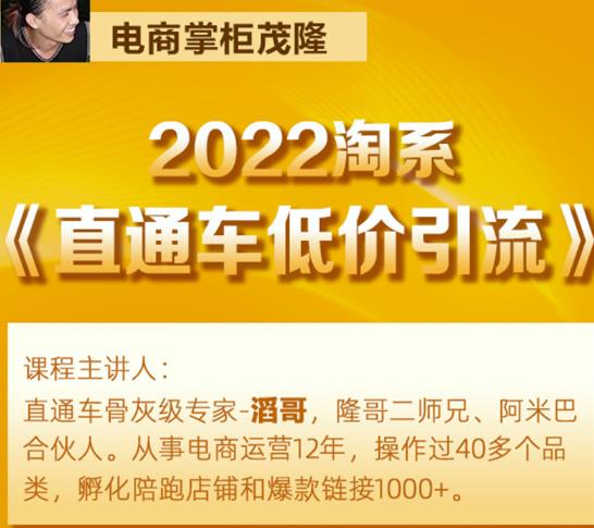 茂隆2022直通车低价引流玩法，教大家如何低投入高回报的直通车玩法-第一资源网