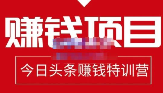 懒人领域·今日头条项目玩法，头条中视频项目，单号收益在50—500可批量-第一资源网