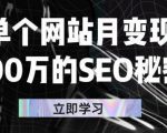 单个网站月变现100万的SEO秘密,百分百做出赚钱站点-第一资源网
