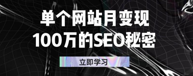 单个网站月变现100万的SEO秘密，百分百做出赚钱站点-第一资源网