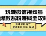 玩转微信视频号爆款涨粉赚钱全攻略,快速涨粉百万变现万元秘诀-第一资源网