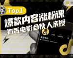 【毒舌电影合伙人亲授】抖音爆款内容涨粉课,5000万抖音大号首次披露涨粉机密-第一资源网
