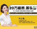 叶小鱼21天短视频文案拆书营,学完轻松搞定各类书单短视频文案-第一资源网