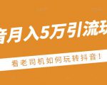 老古董·抖音月入5万引流玩法,看看老司机如何玩转抖音(附赠:抖音另类引流思路)-第一资源网