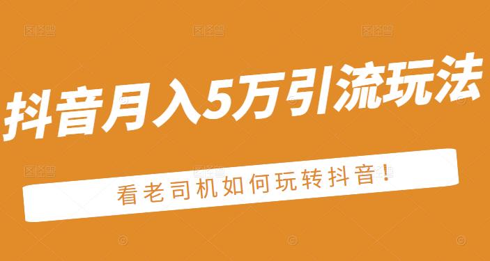 老古董·抖音月入5万引流玩法，看看老司机如何玩转抖音(附赠：抖音另类引流思路)-第一资源网