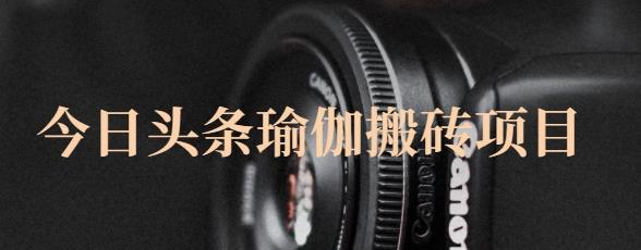 猎人社区·今日头条瑜伽搬砖项目，单号一天几十收入，可以批量操作！-第一资源网