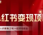 渣圈学苑·小红书虚拟资源变现项目,一起捞钱掘金价值1099元-第一资源网