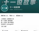 十一说故事·故事性中视频,观众快速共鸣从而快速变现的中视频玩法-第一资源网