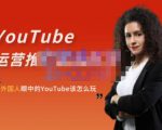 外国人眼中的YouTube该怎么玩?Elisa·YouTube运营推广实战技巧-第一资源网