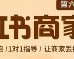 贾真-小红书商家营第6期商家版,21天带货陪跑课,让商家丢掉付流量-第一资源网