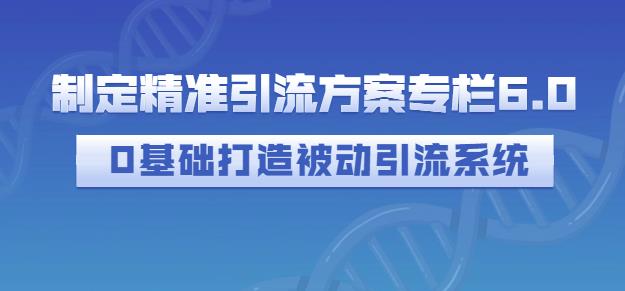 制定精准引流方案专栏6.0，0基础打造被动引流系统-第一资源网