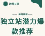 【跨境B哥】独立站潜力爆款选品推荐,测款出单率高达百分之80-第一资源网
