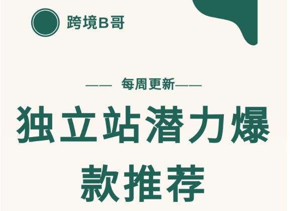 【跨境B哥】独立站潜力爆款选品推荐，测款出单率高达百分之80-第一资源网