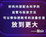 张sir账号流量增长课,告别海王流量,让你的流量更精准-第一资源网