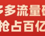 阿杰·拼多多流量破局:如何打黑标,爆款的思路,拼多多流量框架,快速抢占百亿流量-第一资源网