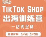 疯人院:TikTok Shop出海训练营(一店卖全球),出海抢占全球新流量-第一资源网
