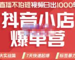推易电商·2022年抖音小店爆单营,不直播、不拍短视频、日出1000单,暴力玩法-第一资源网