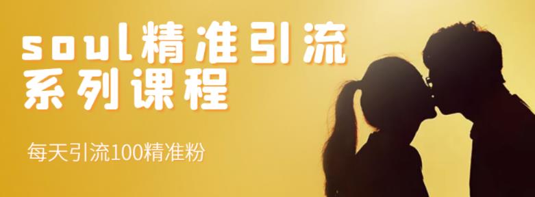 soul精准引流系列课程，每天引流100精准粉-第一资源网