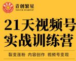 张萌21天视频号实战训练营,裂变涨粉、内容创作、视频号变现 价值298元-第一资源网