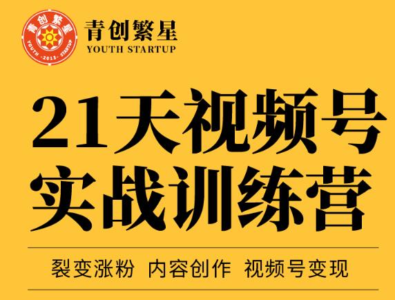 张萌21天视频号实战训练营，裂变涨粉、内容创作、视频号变现 价值298元-第一资源网