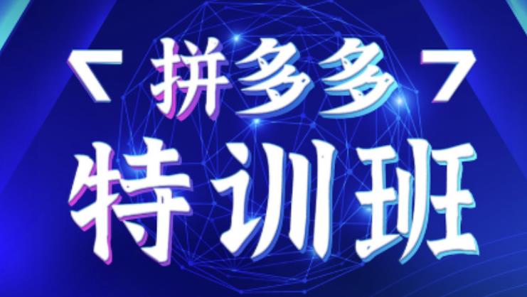 星雪教育·拼多多基础班+进阶班+突破班，用系统的学习模式快速改变现状价值3580元-第一资源网