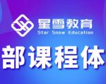 星雪教育淘系高级班,更全的运营提升方案,零基础由浅入深,店铺最新玩法-第一资源网