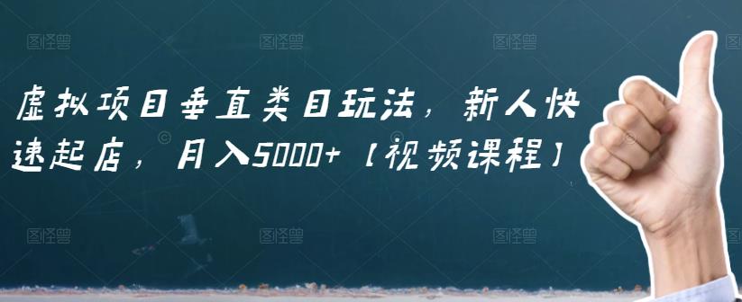 虚拟项目垂直类目玩法，新人快速起店，月入5000+【视频课程】-第一资源网