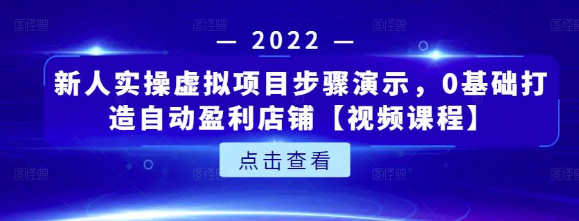 新人实操虚拟项目步骤演示，0基础打造自动盈利店铺【视频课程】-第一资源网