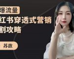 苏歆:小红书穿透式营销收割攻略,引爆流量,助你玩转小红书-第一资源网