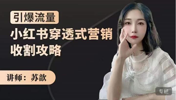 苏歆：小红书穿透式营销收割攻略，引爆流量，助你玩转小红书-第一资源网
