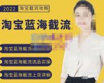 2022淘宝蓝海截流攻略,淘宝蓝海截流选品上货实操讲解-第一资源网
