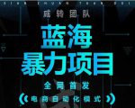 引流哥蓝海暴力躺赚项目:无需发圈无需引流无需售后,每单赚50-500(教程+线报群)-第一资源网