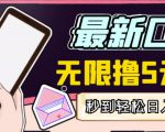 【高端精品】最新无撸5元E卡项目,无限接码秒到,一单利润3.5,轻松日入破千-第一资源网