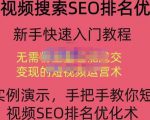宋老师·短视频搜索SEO优化，教你10分钟创作一个短视频，三天排名上第一-第一资源网