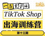 TikTokShop出海训练营(第十三期),打开全球流量新思维,出海抢占全球新流量,一店卖全球-第一资源网