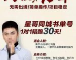 星哥同城教育书单号课程,无需出境简单操作项目稳定-第一资源网