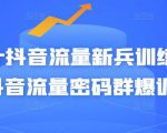 Peter抖音流量新兵训练营-破解抖音流量密码群爆训练营(新兵)-第一资源网