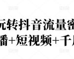 2022玩转抖音流量密码,(直播+短视频+千川)-第一资源网
