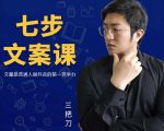 三把刀·七步文案课:文案是普通人做短视频的第一竞争力,如何写出划不走的文案-第一资源网