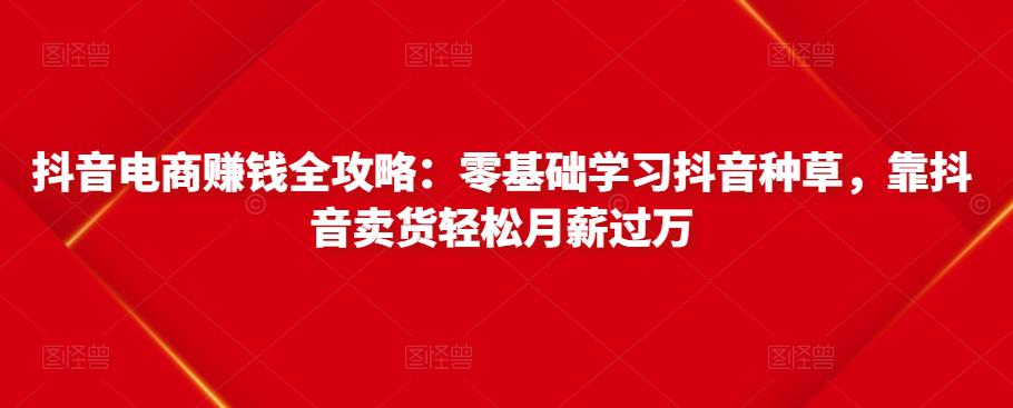 抖音电商赚钱全攻略：零基础学习抖音种草，靠抖音卖货轻松月薪过万-第一资源网
