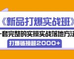 凌童《新品打爆实战班》,一套完整的实操实战落地方法,打爆链接超2000+(28节课)-第一资源网