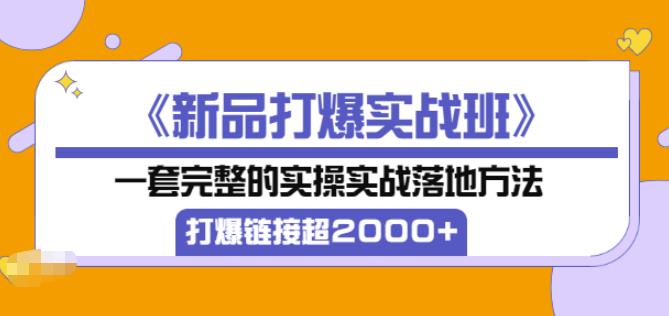 凌童《新品打爆实战班》,一套完整的实操实战落地方法，打爆链接超2000+（28节课)-第一资源网