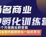 杨名商业IP孵化训练营,从商业到内容到转化一站式学 价值5980元-第一资源网