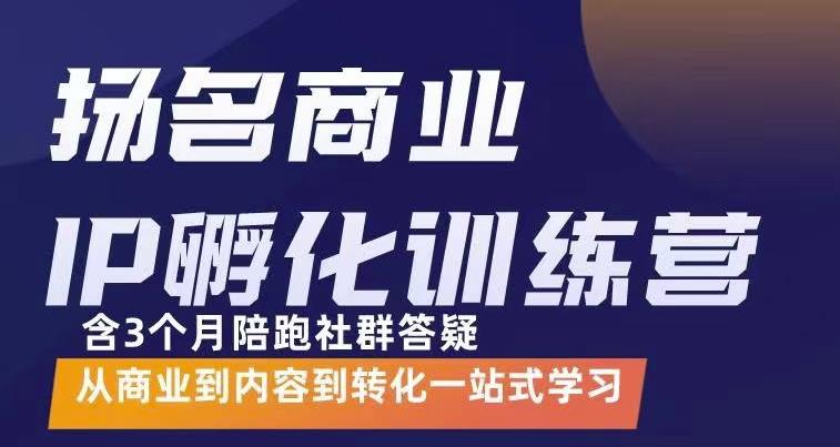 杨名商业IP孵化训练营，从商业到内容到转化一站式学 价值5980元-第一资源网