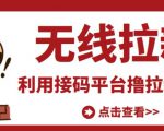 最新接码无限拉新项目,利用接码平台赚拉新平台差价,轻松日赚500+-第一资源网