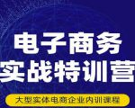 民赛电气内部出品:电子商务实战特训营,全方位带你入门电商,308种方式玩转电商-第一资源网