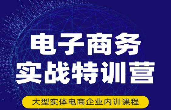 民赛电气内部出品：电子商务实战特训营，全方位带你入门电商，308种方式玩转电商-第一资源网