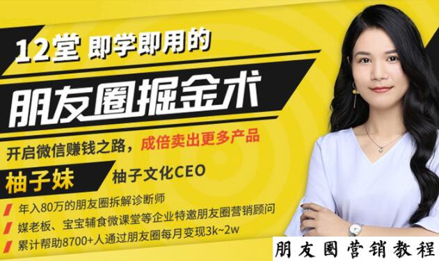 【营销必学】12堂学之即用的朋友圈掘金术：开启你的副业赚钱之路-第一资源网